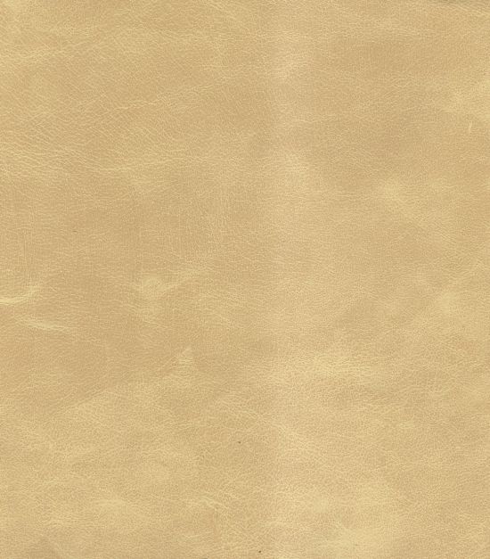 Leather Samples