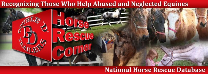 DD - Horse Rescue Corner