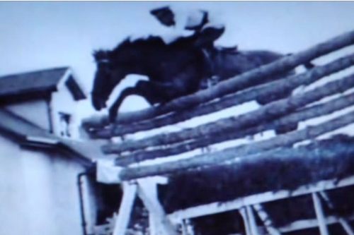 record for the highest jump made by a horse record for the highest jump made by a horse