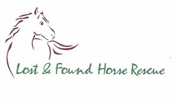 lost and found horse rescue