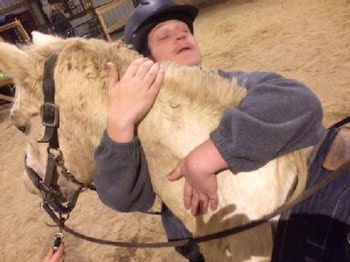 lovesome stables