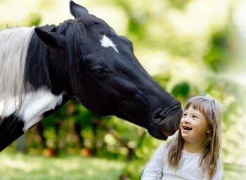 veterans-equine-therapeutic-services