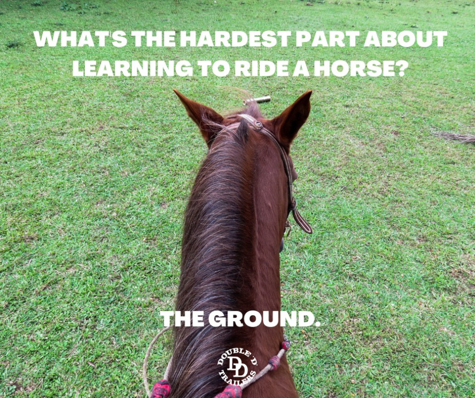 11 Most Loved Horse Memes by Double D Trailers