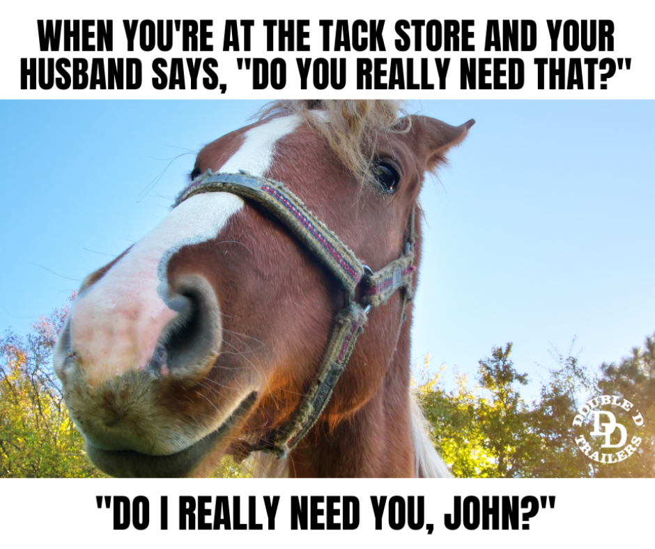 11 Most Loved Horse Memes by Double D Trailers