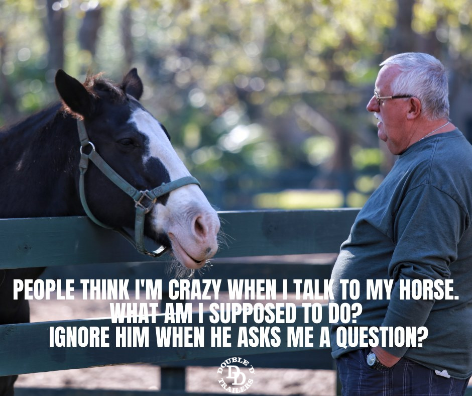 11 Most Loved Horse Memes by Double D Trailers