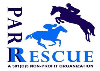 Pa racehorse rehoming pennsylvania