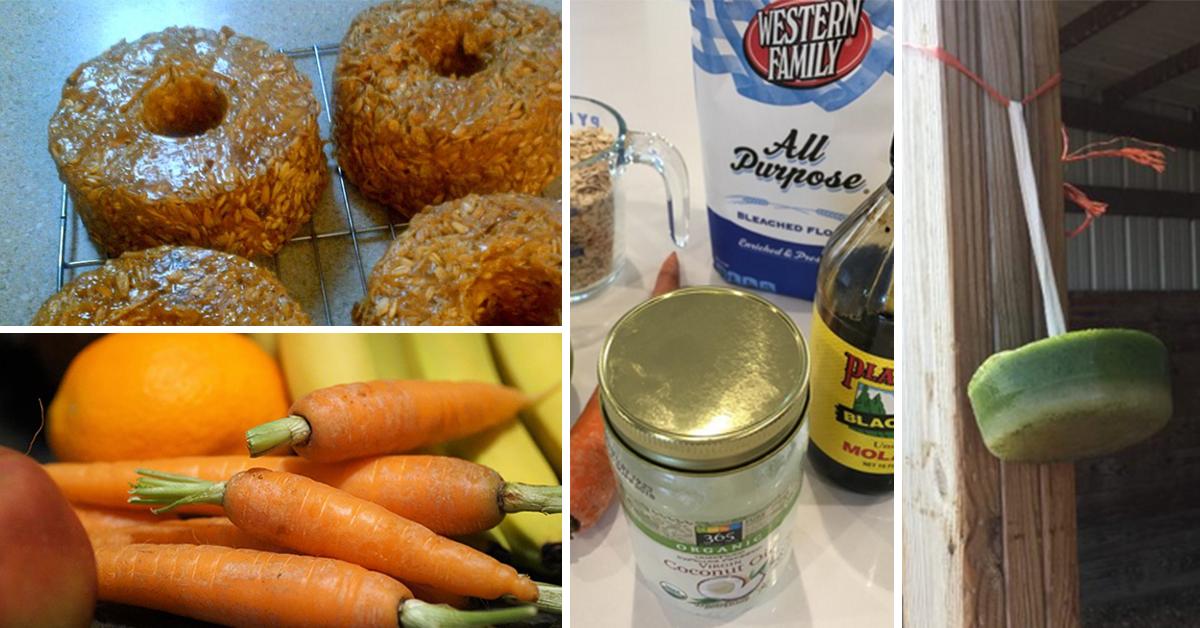 7 Easy DIY Horse Treats You Can Make at Home!