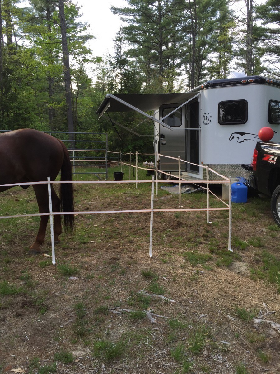 2 horse bumper pull trailer with dressing room