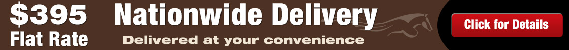Banner 1