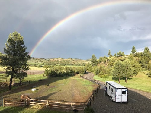 A Complete Guide To Horse Trailer Bathrooms