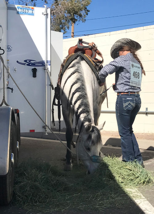 Important Laws and Rules to Know Before You Tow a Horse Trailer