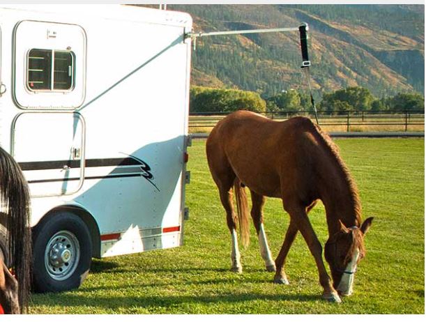 Tying horses to the exterior of your new trailer is a recipe for damage.  If you add a hi-tie, it will move the horse away from the sidewall of your trailer which is safer for the horse, and safer for the trailer as well.