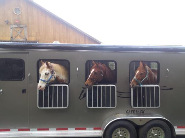 3 horse gooseneck trailer