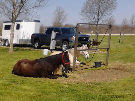 horse trailer illinois