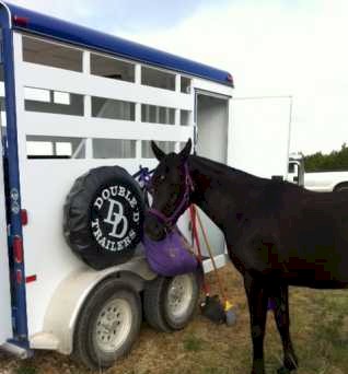 horse trailer texas