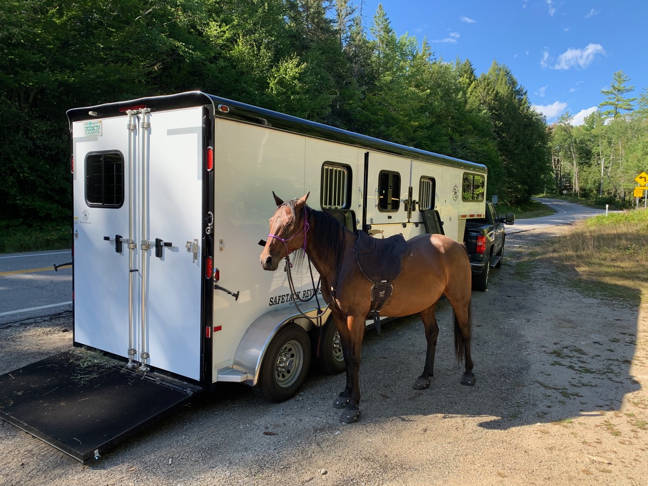 A tacked horse standing beside its owner's Double D SafeTack Reverse trailer on a mountain road