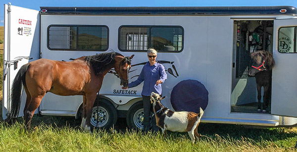 A horse, a mini and a goat beside their owner's Double D trailer
