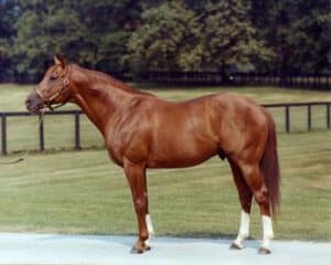 Secretariat Race Horse