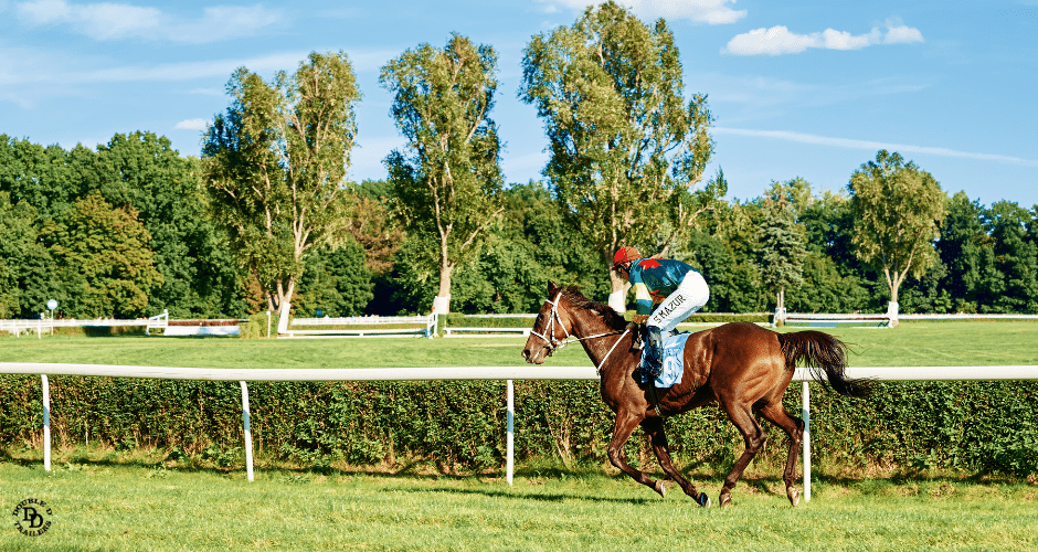 A horse jockey action shot