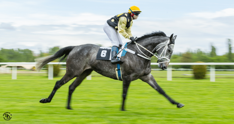 A horse jockey riding