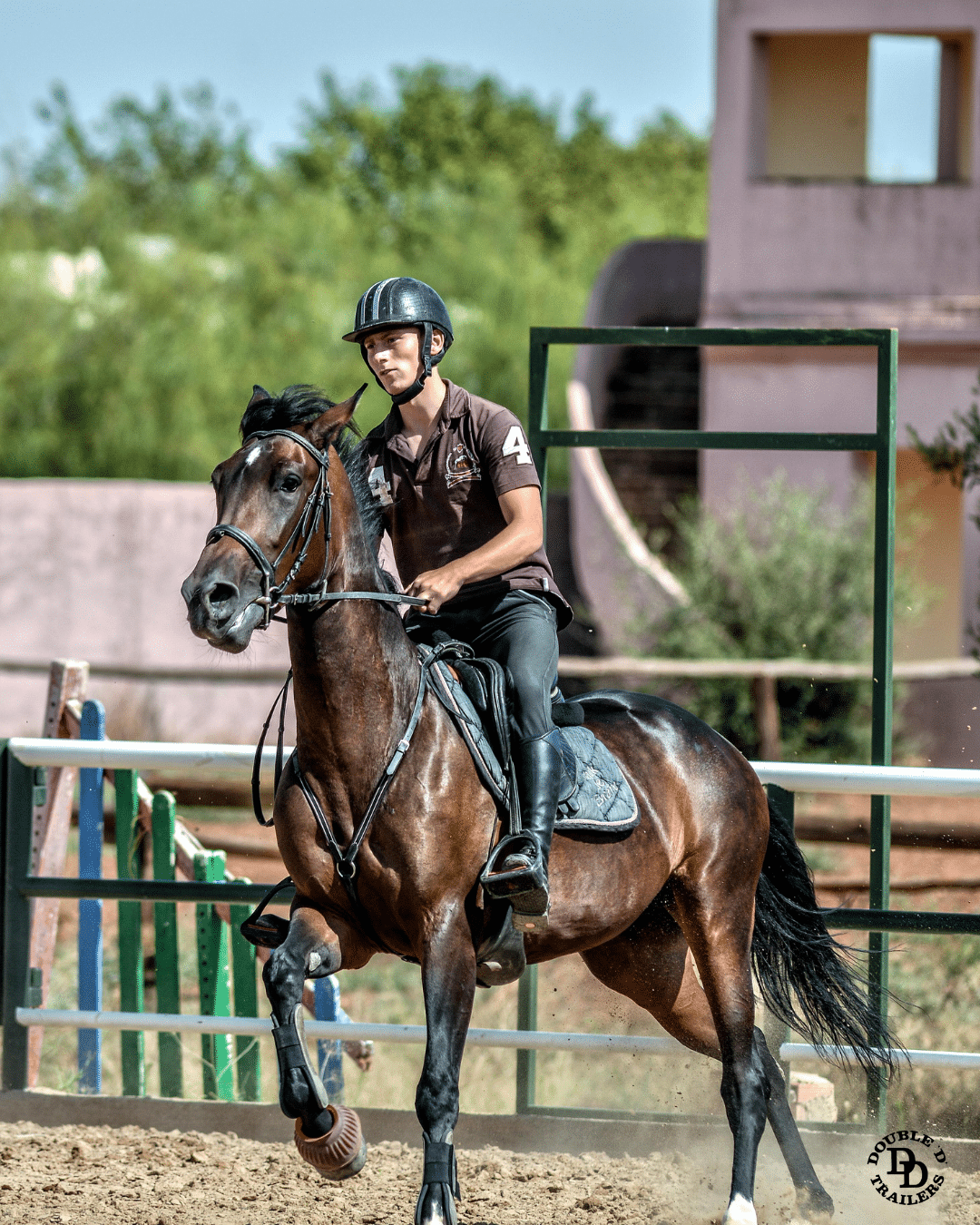 Horse jockey rider 