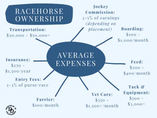 Thoroughbred Race Horse Cost: Buying, Owning, and Training Expenses