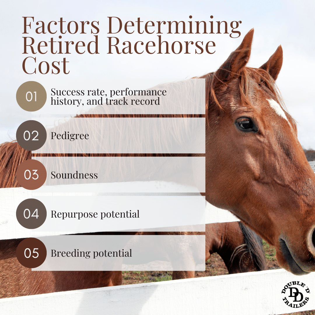 How much do retired racehorses cost