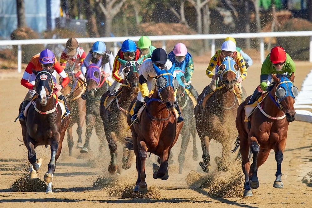 a photo of a horse race in action