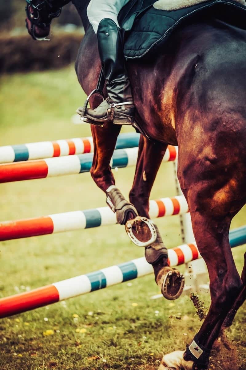 a horse jumping over a hurdle 