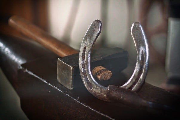 a photo of a horse shoe 