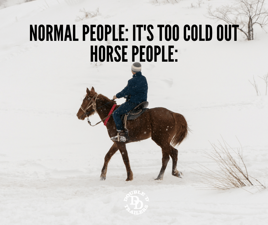 winter horse meme