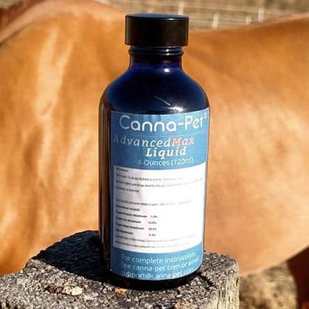 Canna-Pet CBD Oil for Horses