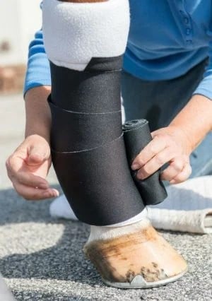 Leg protection for horses is important during long periods of time in the trailer. 