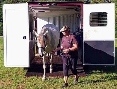 A horse unloading from a SafeTack Reverse horse trailer. 