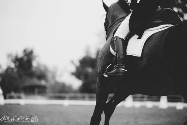 Horse Photography Tips - BW