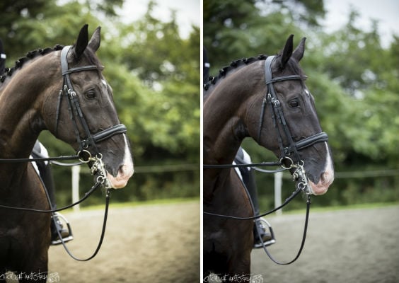 horse photography tips - editing