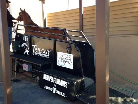 horse treadmill