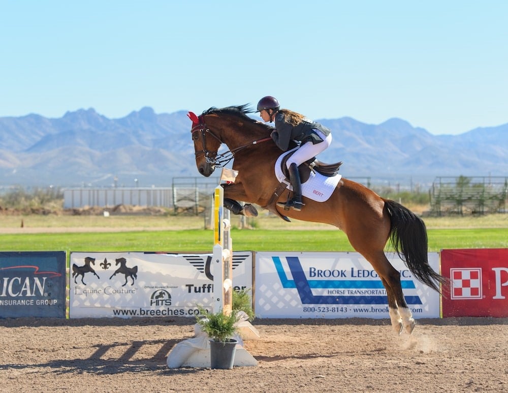 a horse and rider at a jumping competition, jumping over a hurdle