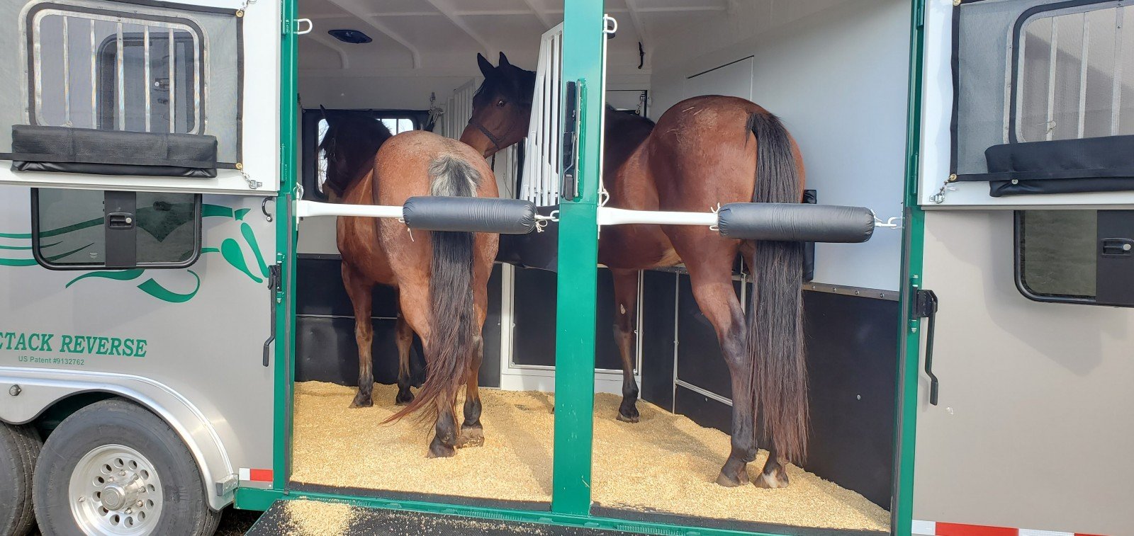 Two horses loaded on a Double D Trailer facing the rear.