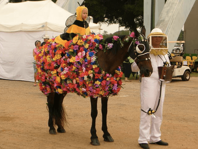 Bee Flowers Horse Costume