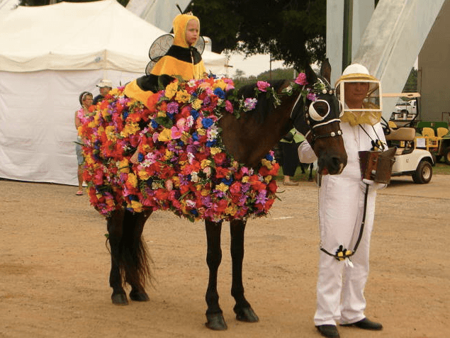 Horse covered in flowers with rider dressed as a bee in this Halloween costume.