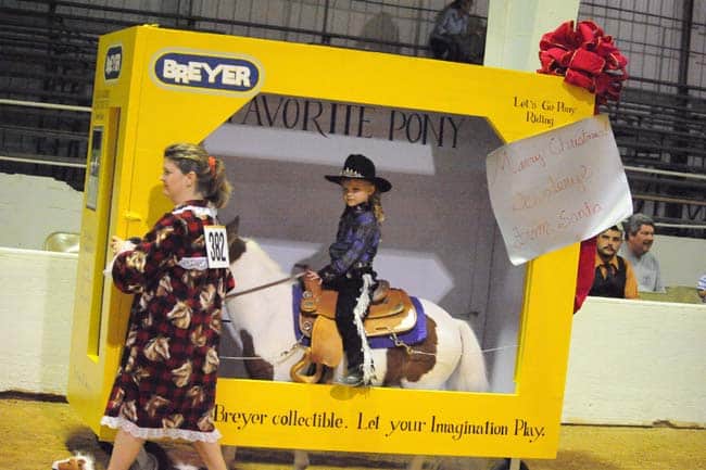 Horse dressed inside a cardboard Breyer horse box with rider