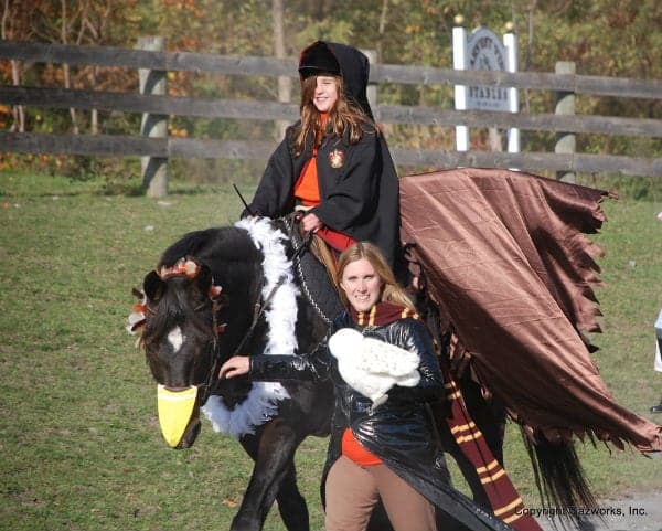 Harry Potter Horse Costume