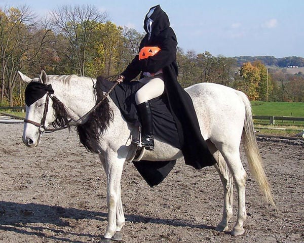 Headless Horseman Horse Costume
