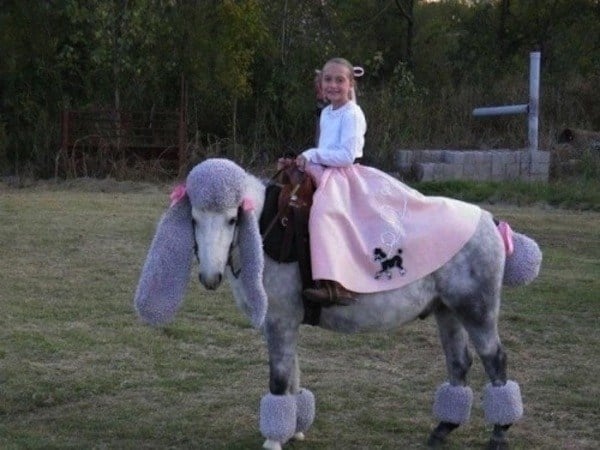 Horse Poodle Horse Costume