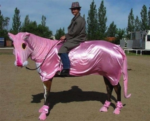 Pink Panther Horse Costume