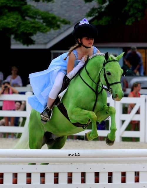 Horse dressed as the Frog Prince with rider in a princess costume for Halloween