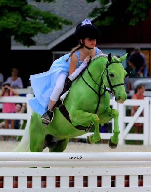 Princess Frog Horse Costume