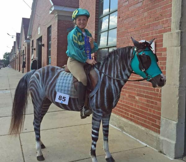 Racing Stripes Horse Costume