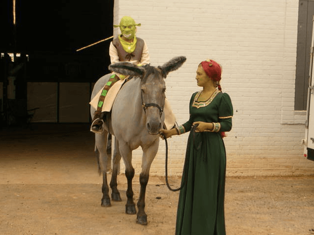 Shrek Horse Costume